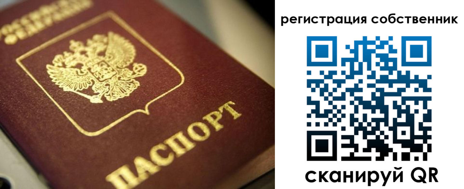 прописка в Лыткарино